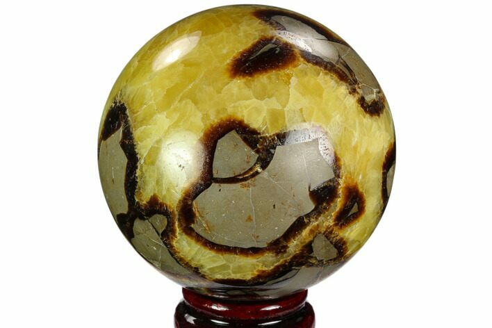 Polished Septarian Sphere - Madagascar #122925